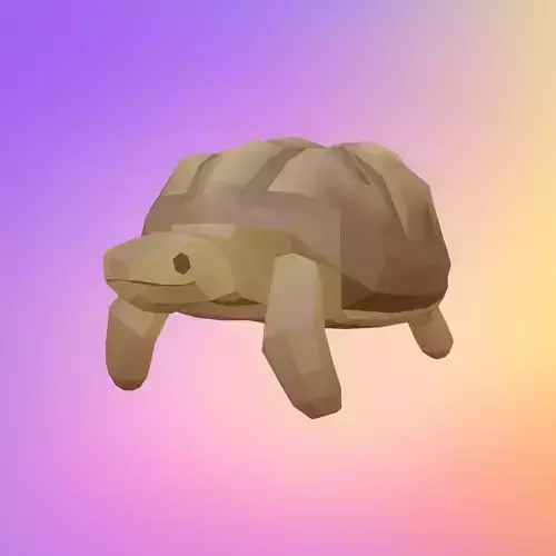 Low poly tortoise