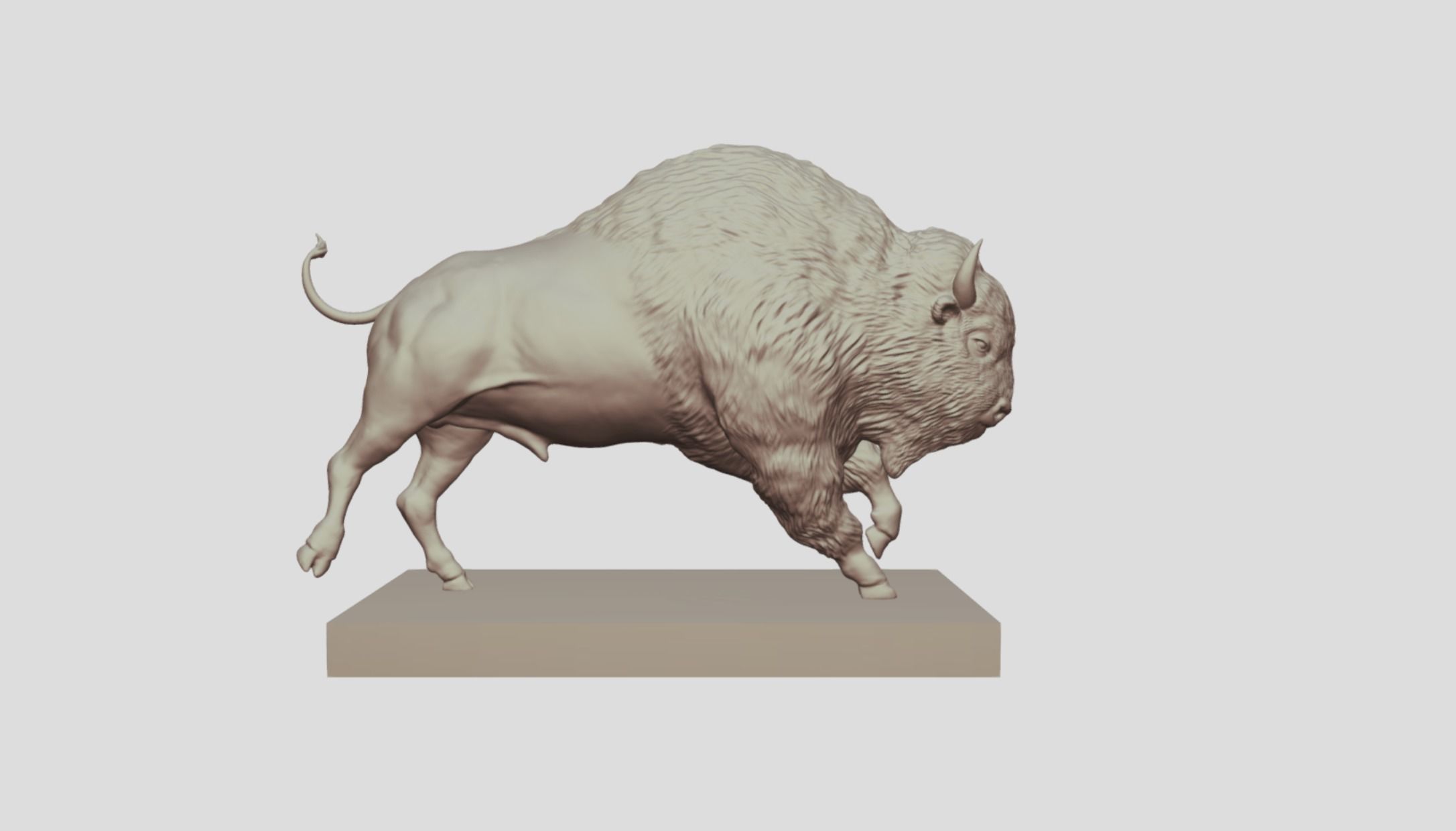 Realistic Male Buffalo or American Bison 3D print model_5