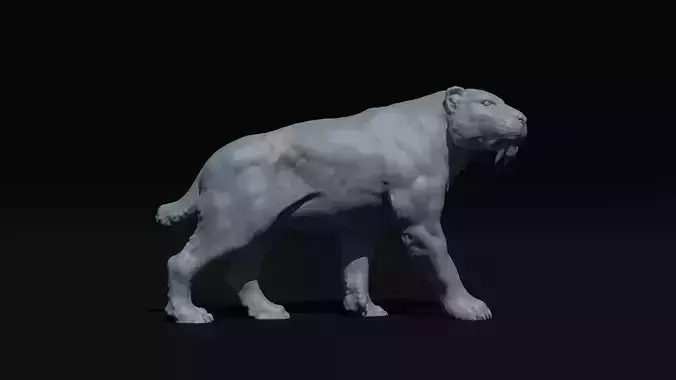 Realistic Smilodon Saber-toothed cat basemesh 3D print model