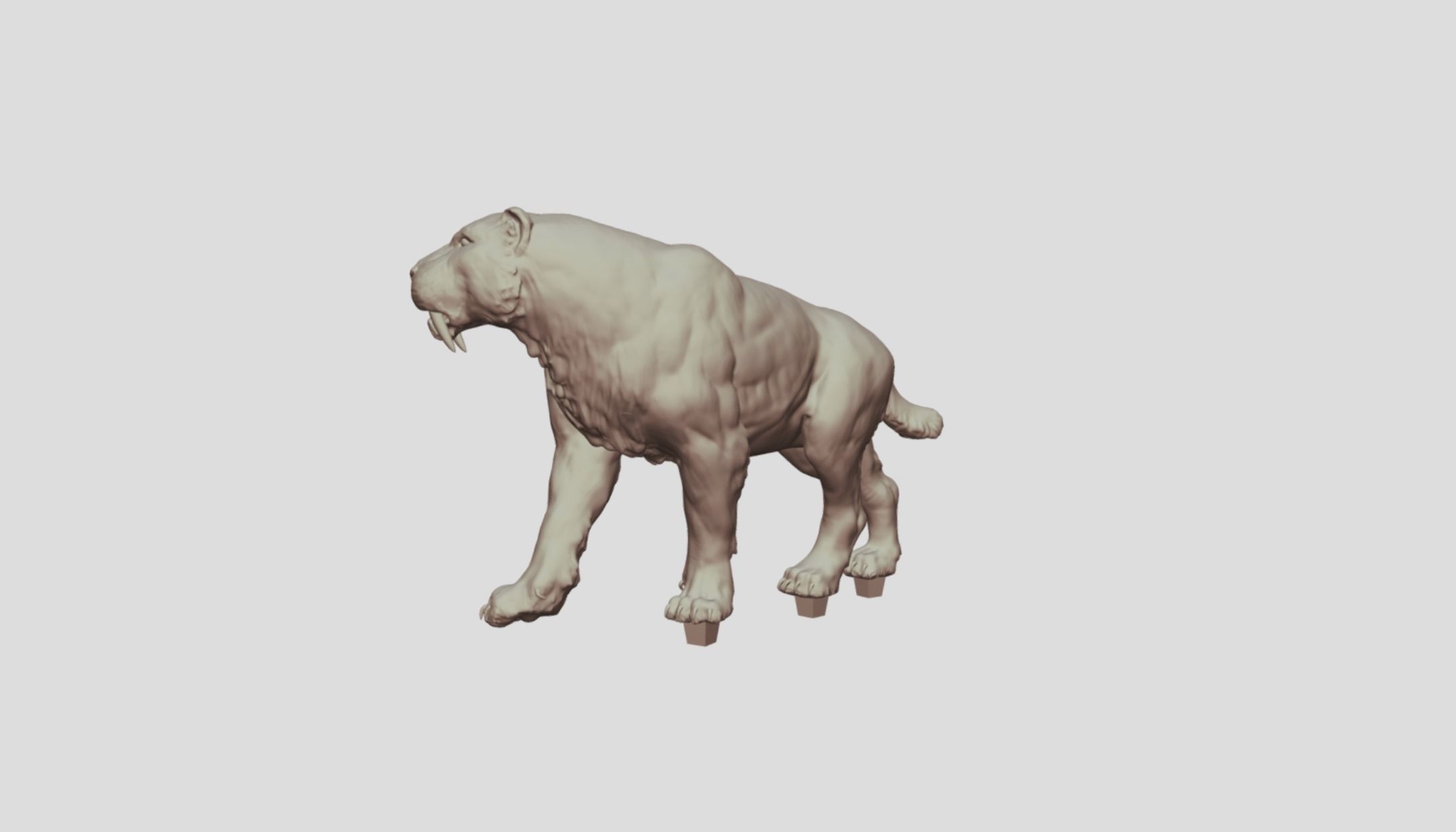Realistic Smilodon Saber-toothed cat basemesh 3D print model_9