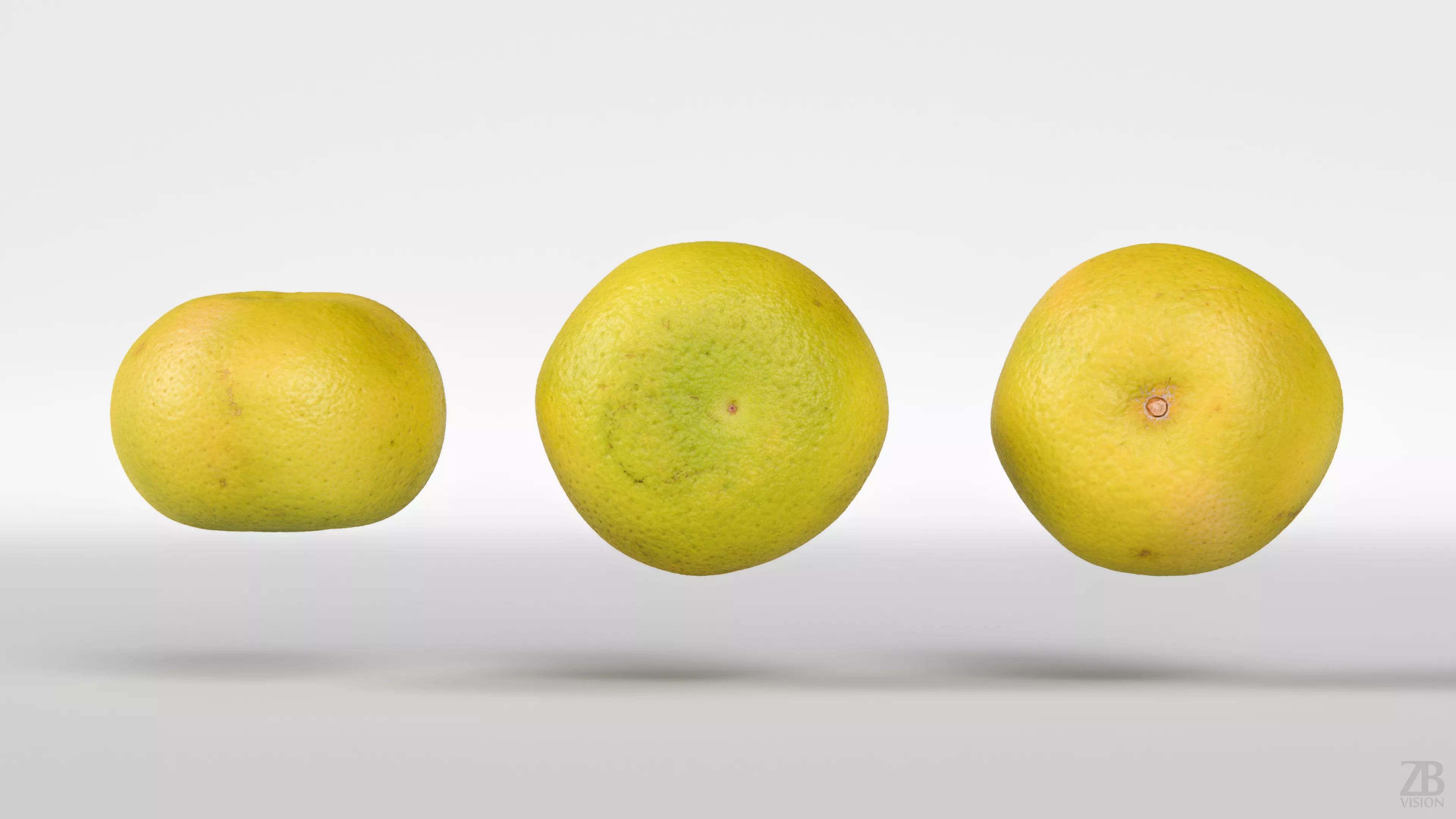 Grapefruit 3D model_4