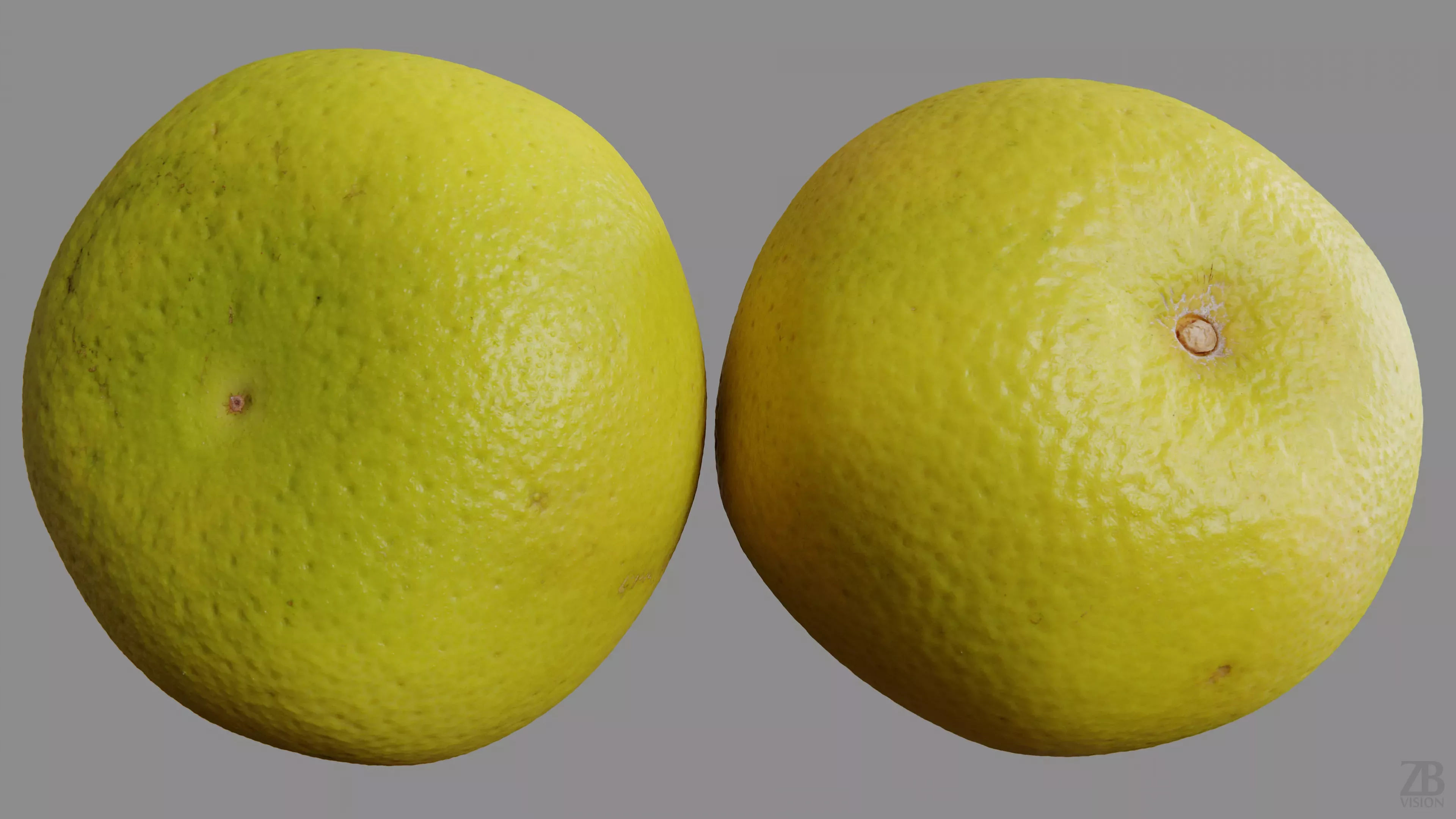 Grapefruit 3D model_9