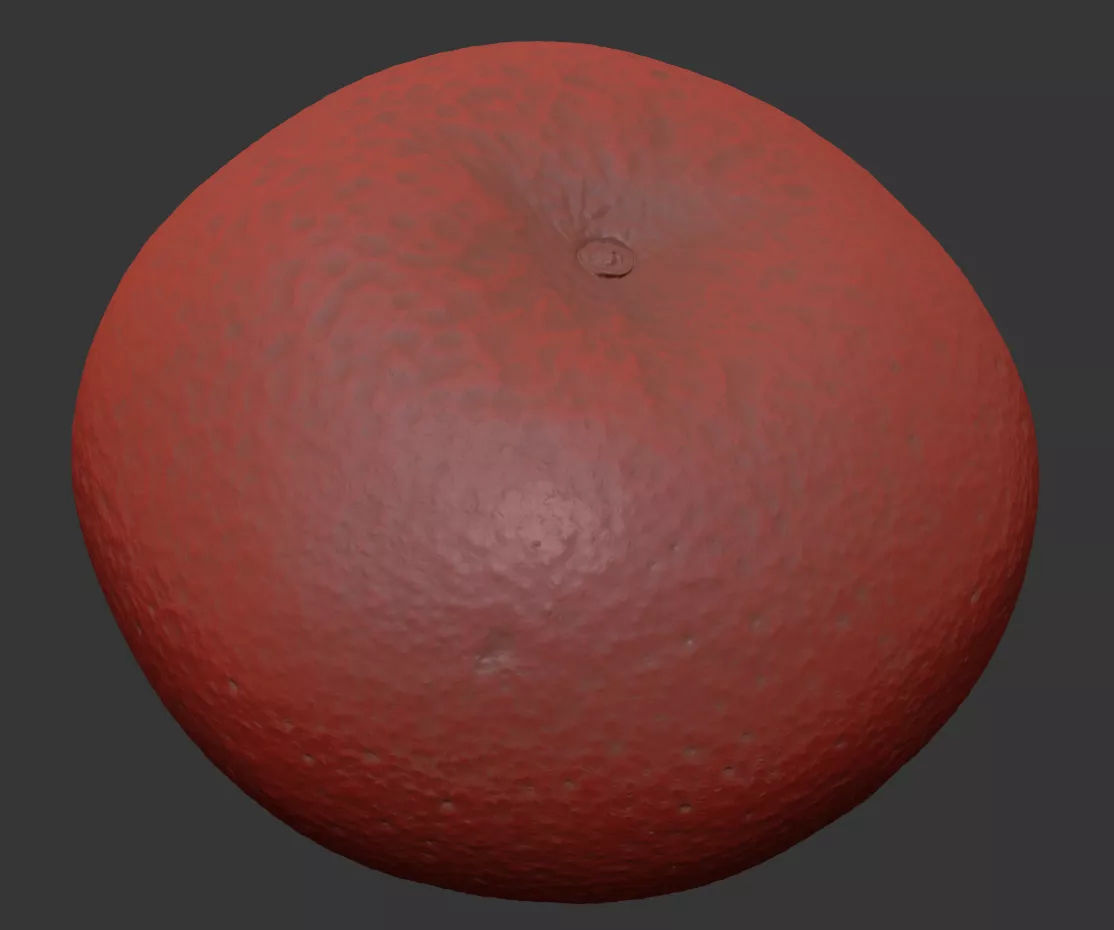 Grapefruit 3D model_7