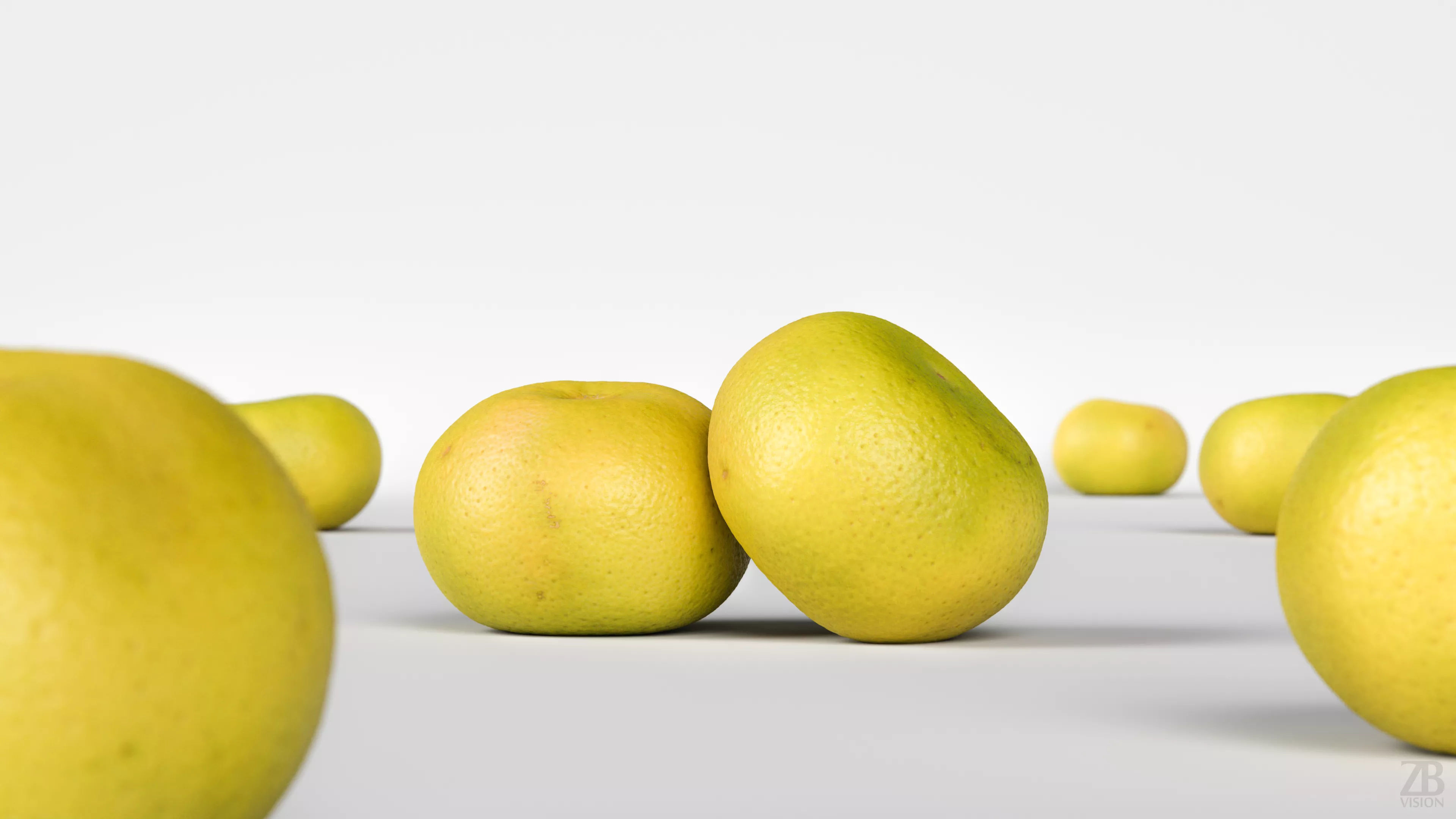 Grapefruit 3D model_1