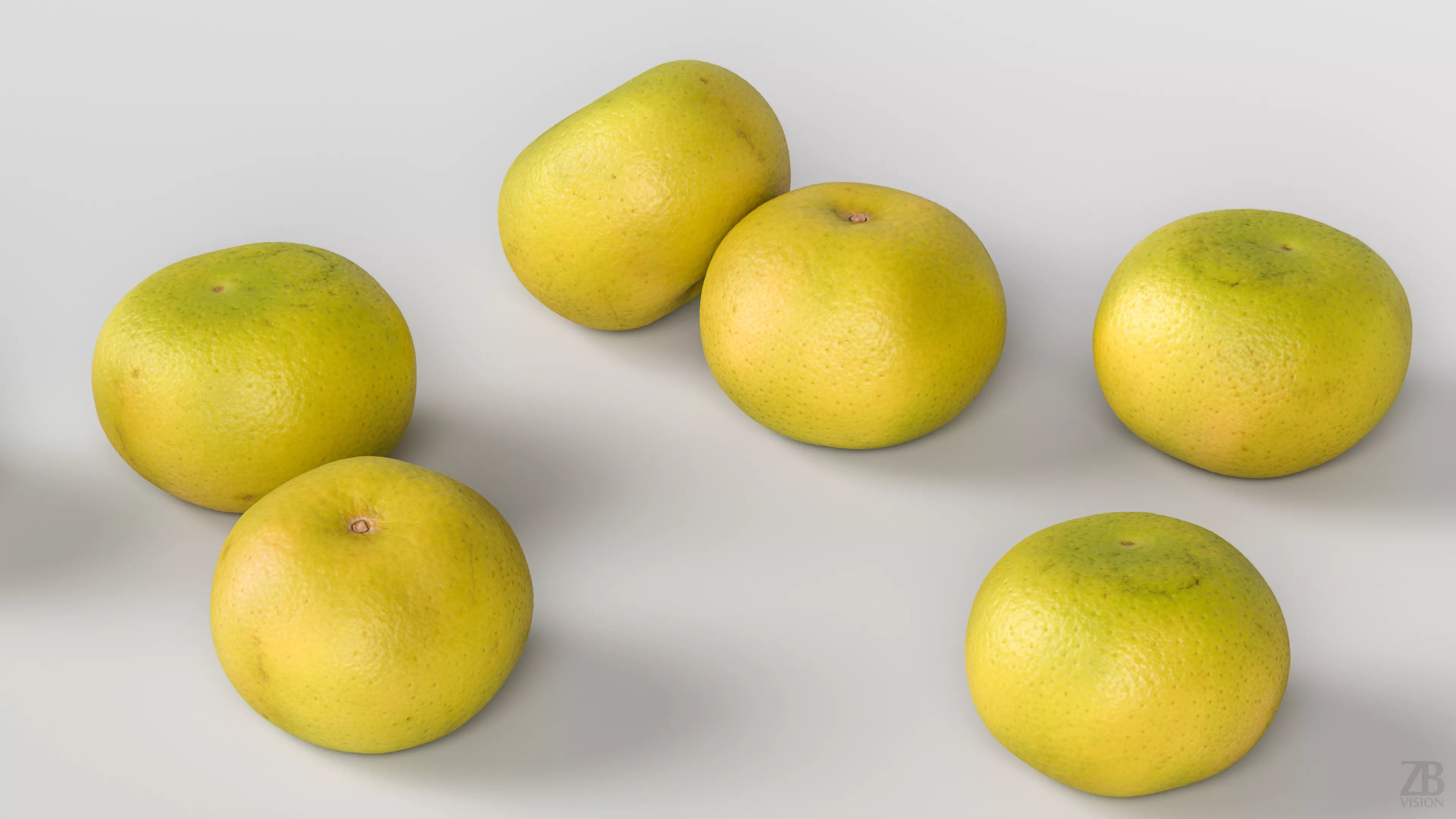 Grapefruit 3D model_2