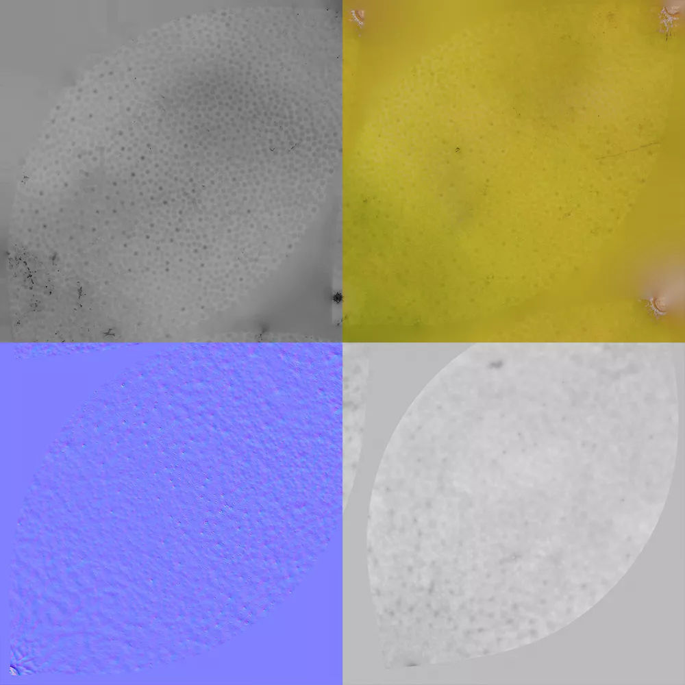 Grapefruit 3D model_8