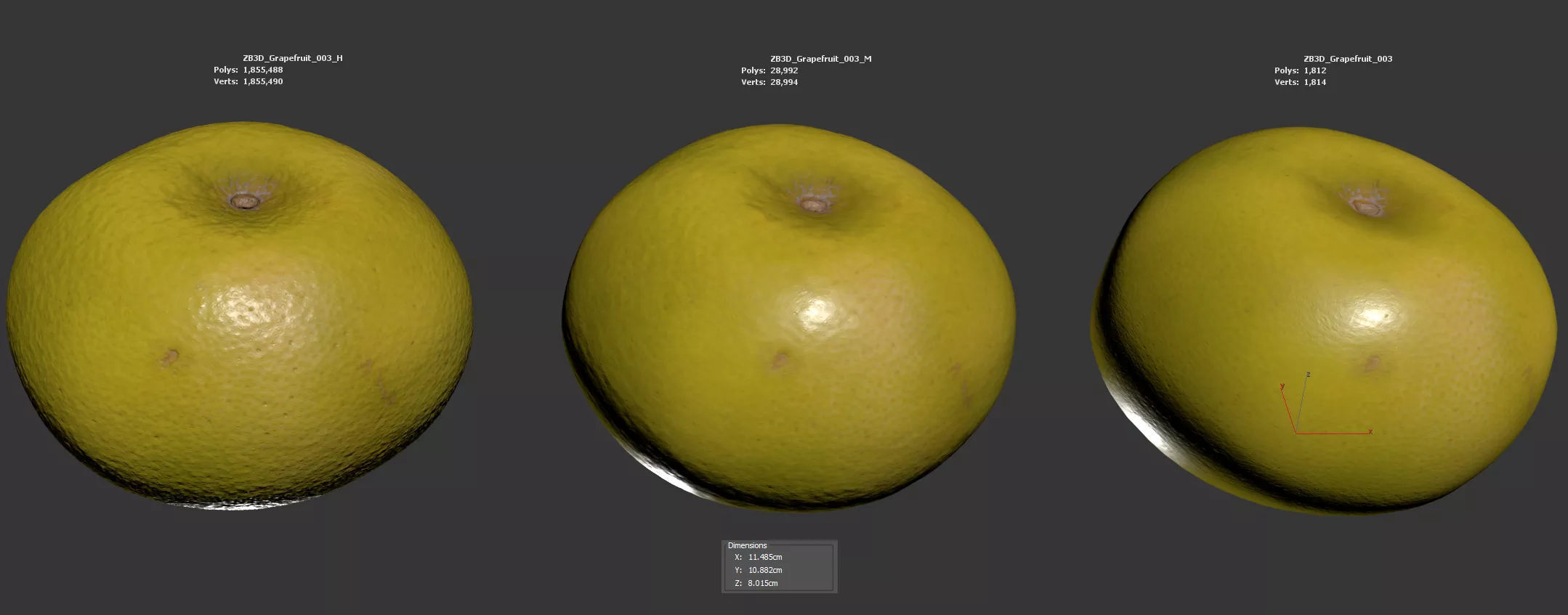 Grapefruit 3D model_5