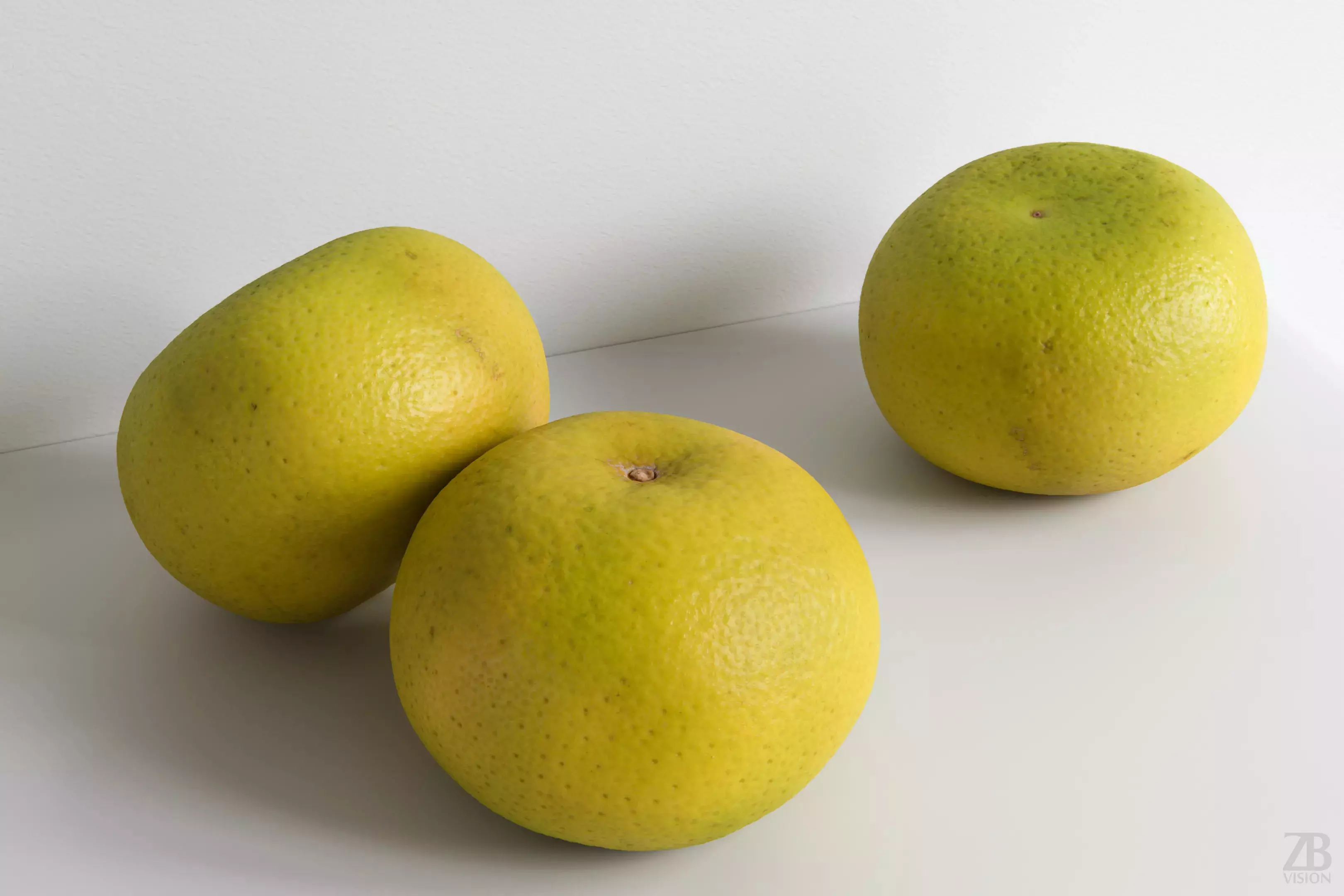 Grapefruit 3D model_0