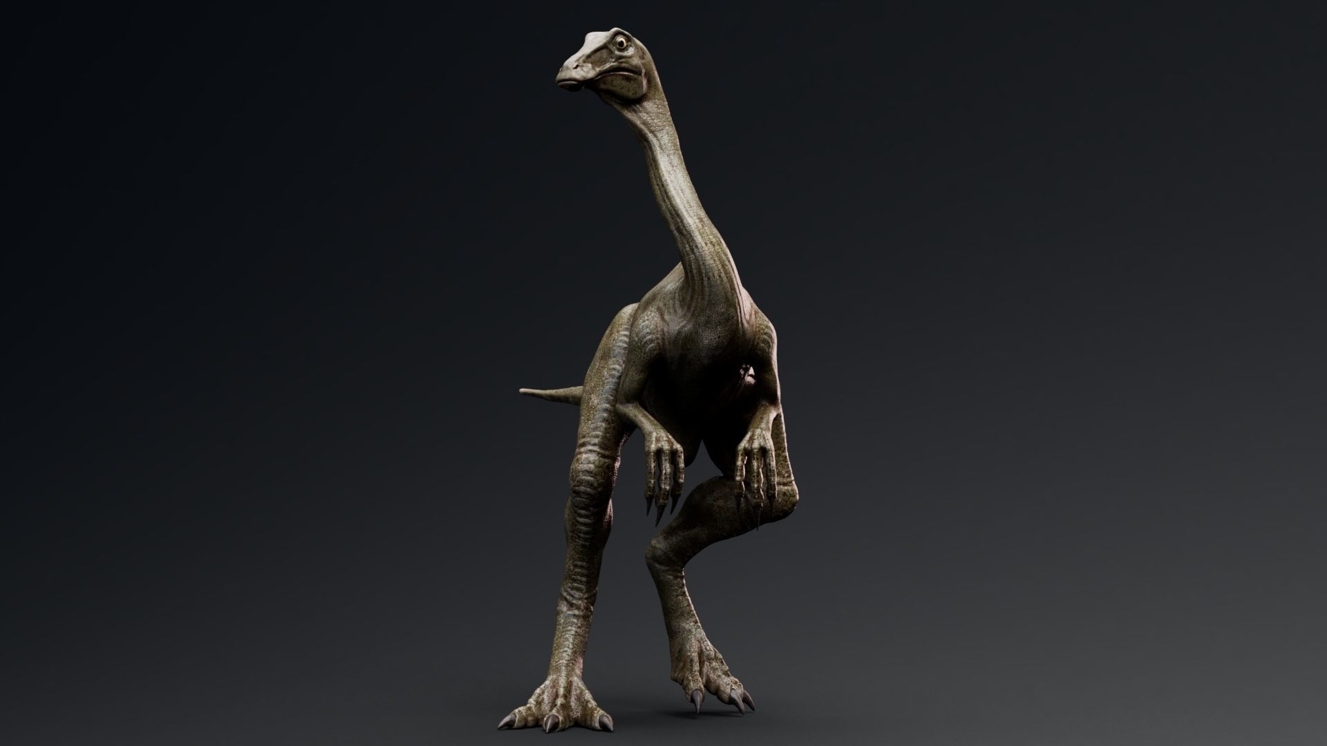 Dinosaur Gallimimus Unreal Engine Project Low-poly 3D model_6
