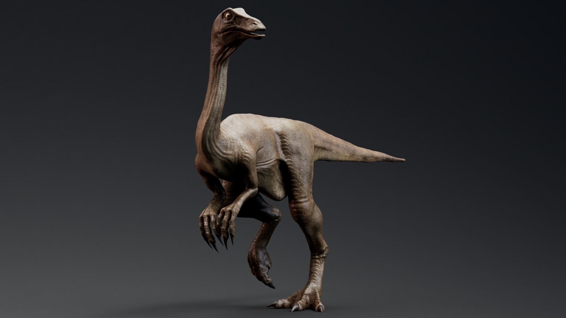 Dinosaur Gallimimus Unreal Engine Project Low-poly 3D model_9