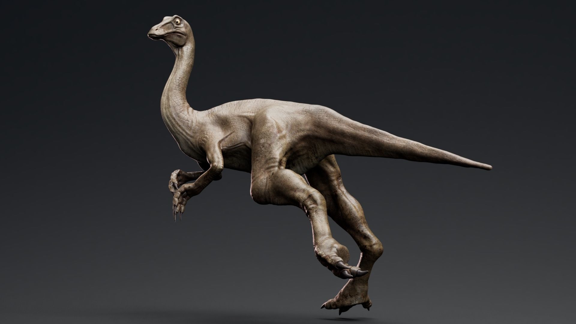 Dinosaur Gallimimus Unreal Engine Project Low-poly 3D model_12