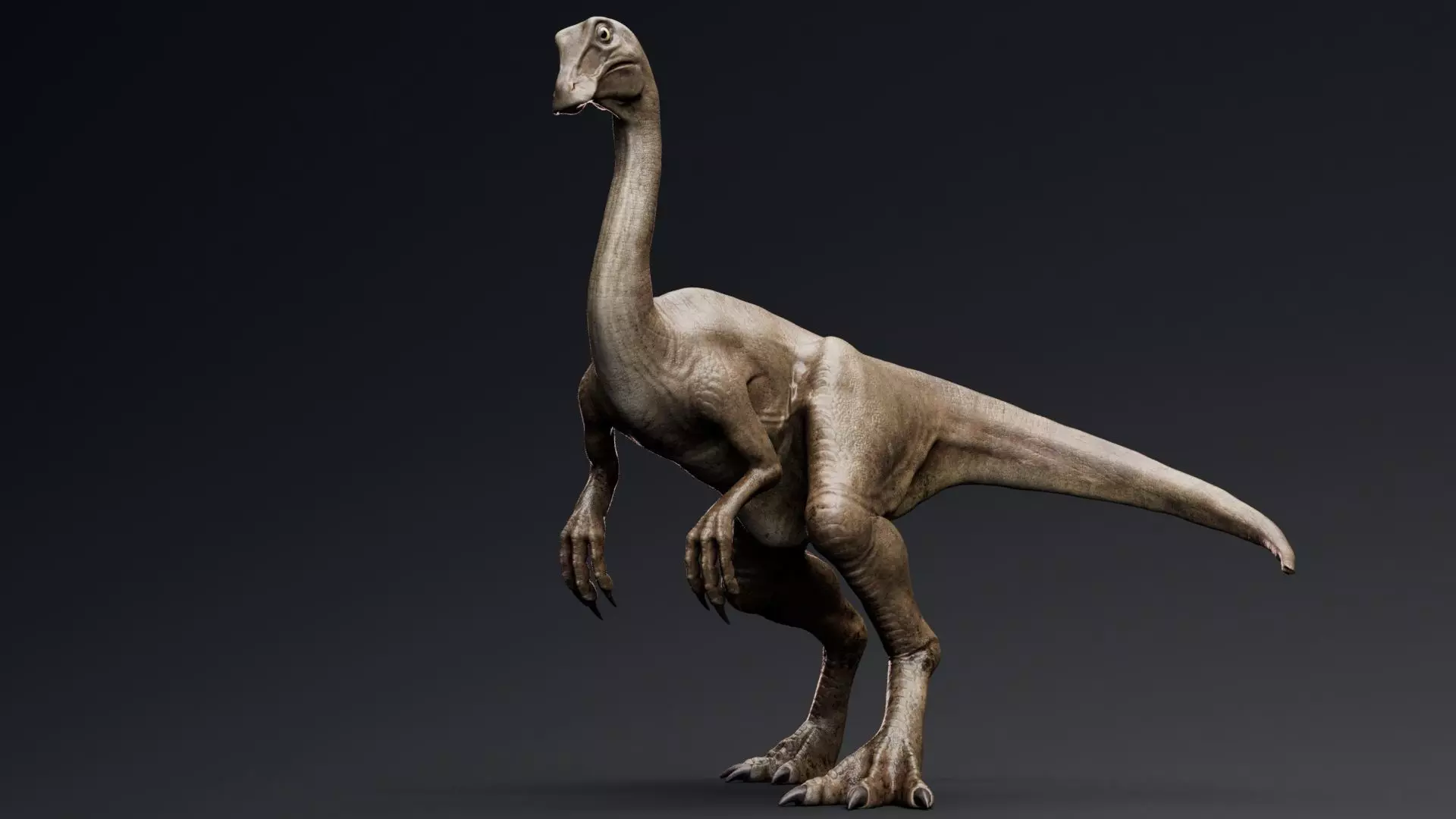 Dinosaur Gallimimus Unreal Engine Project Low-poly 3D model_0