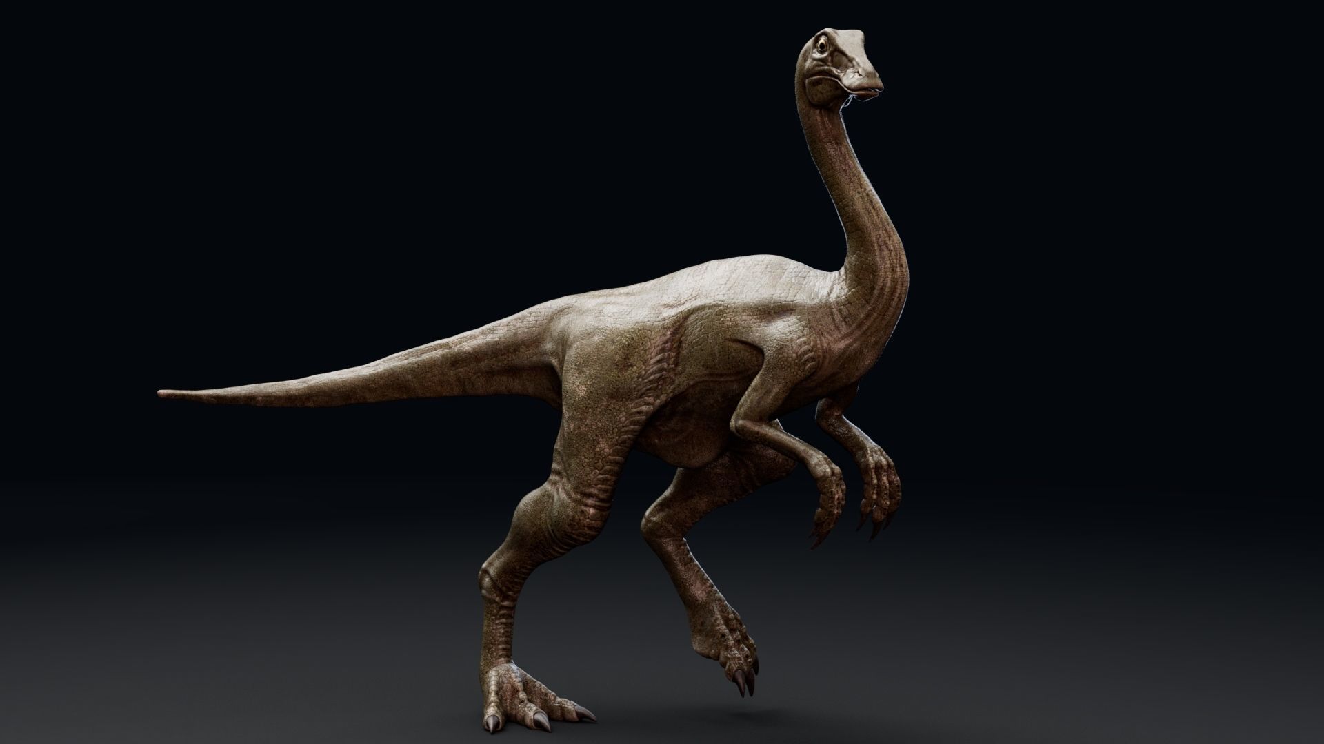 Dinosaur Gallimimus Unreal Engine Project Low-poly 3D model_4