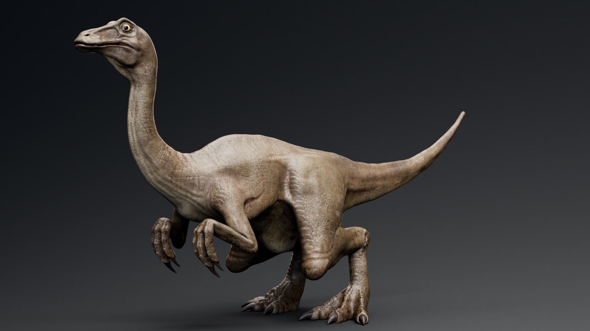 Dinosaur Gallimimus Unreal Engine Project Low-poly 3D model_2