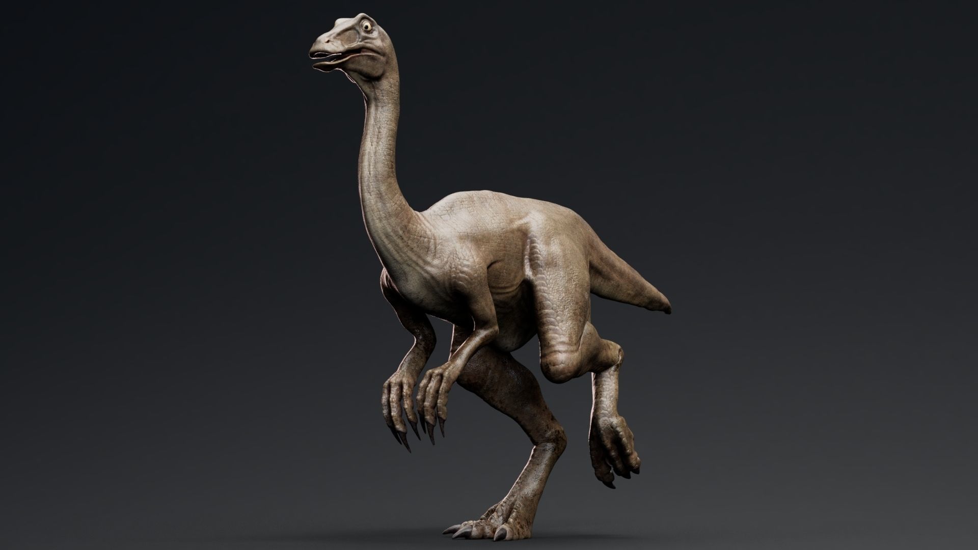 Dinosaur Gallimimus Unreal Engine Project Low-poly 3D model_7