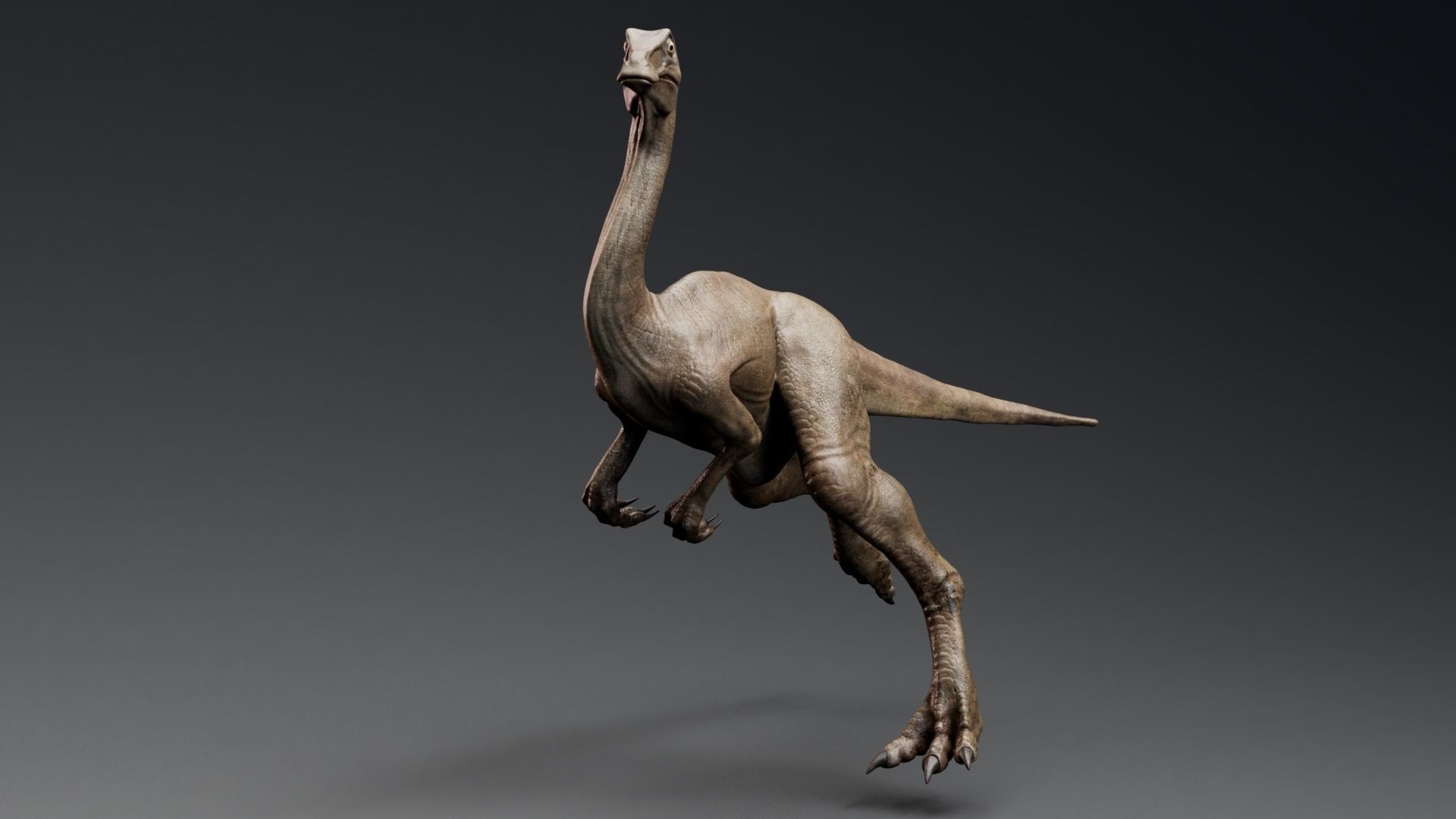 Dinosaur Gallimimus Unreal Engine Project Low-poly 3D model_11