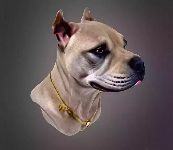 Pitbull Bust