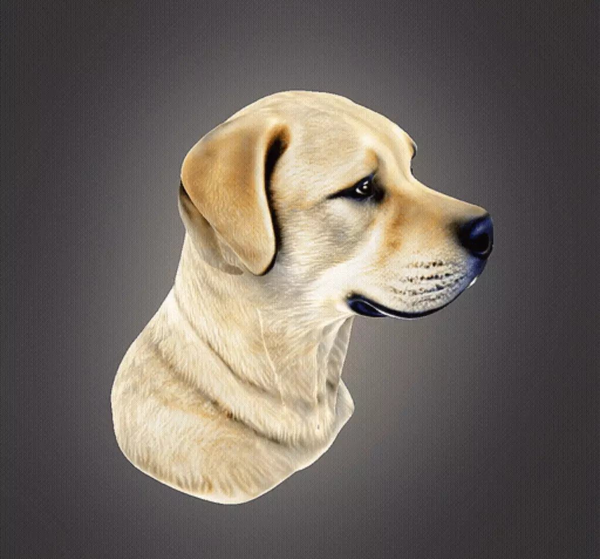 Labrador Retriever Bust 3D print model_0
