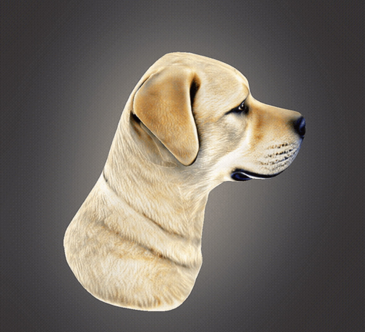 Labrador Retriever Bust 3D print model_8