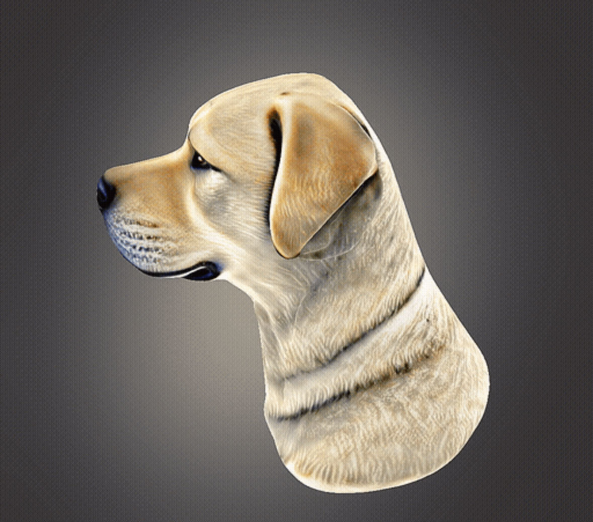 Labrador Retriever Bust 3D print model_4