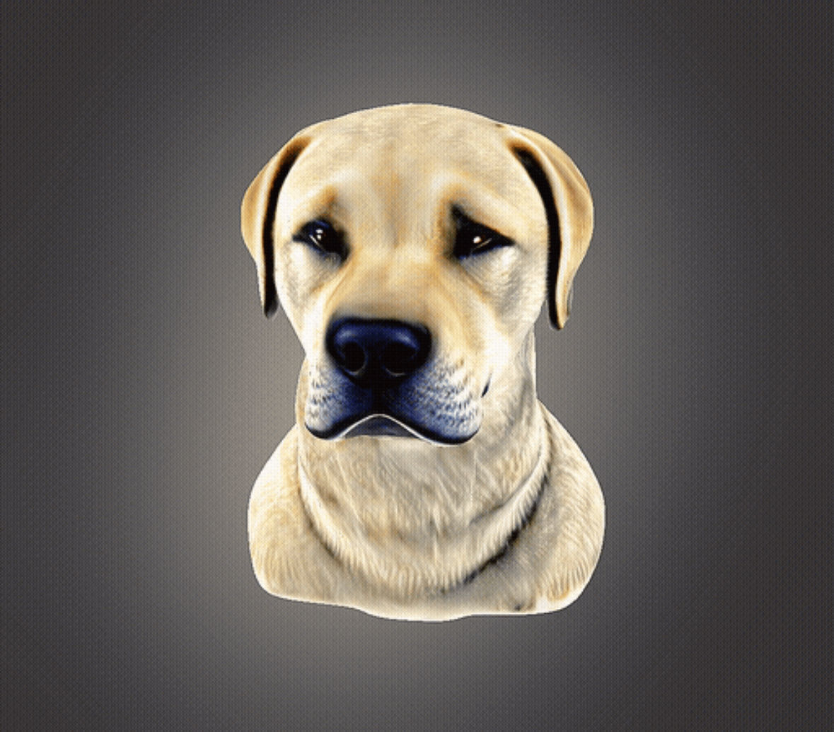 Labrador Retriever Bust 3D print model_7