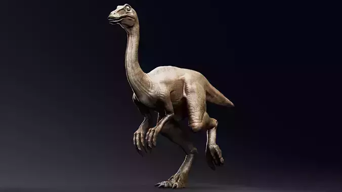 Gallimimus Unity Project  Low-poly 3D model