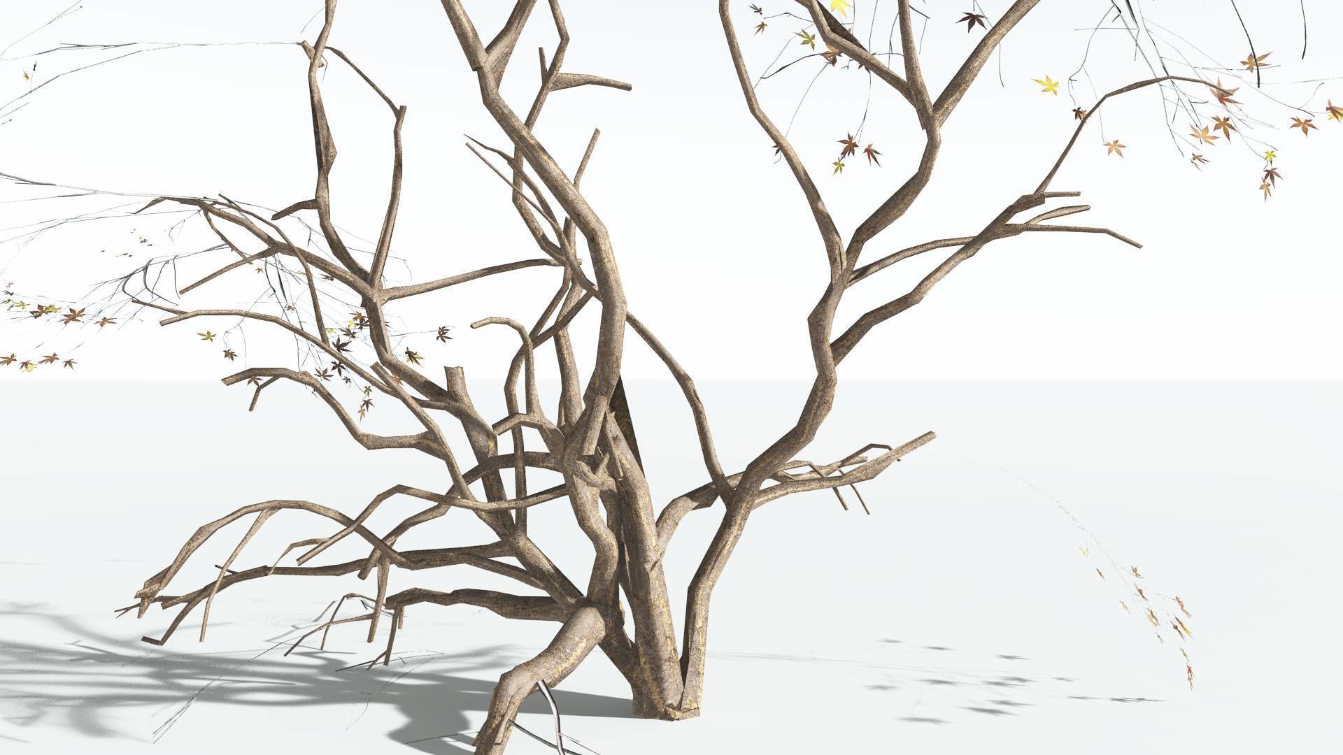 EVERYPlant Japanese Maple LowPoly 1 --18 Models-- Low-poly 3D model_18