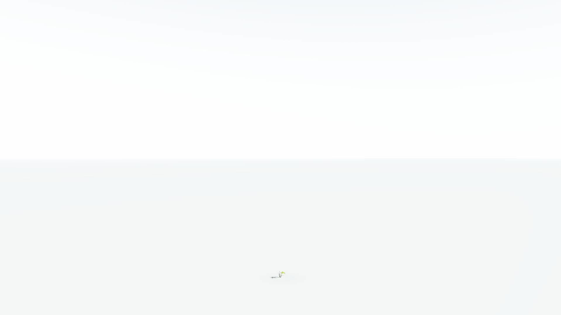 EVERYPlant Japanese Maple LowPoly 1 --18 Models-- Low-poly 3D model_27