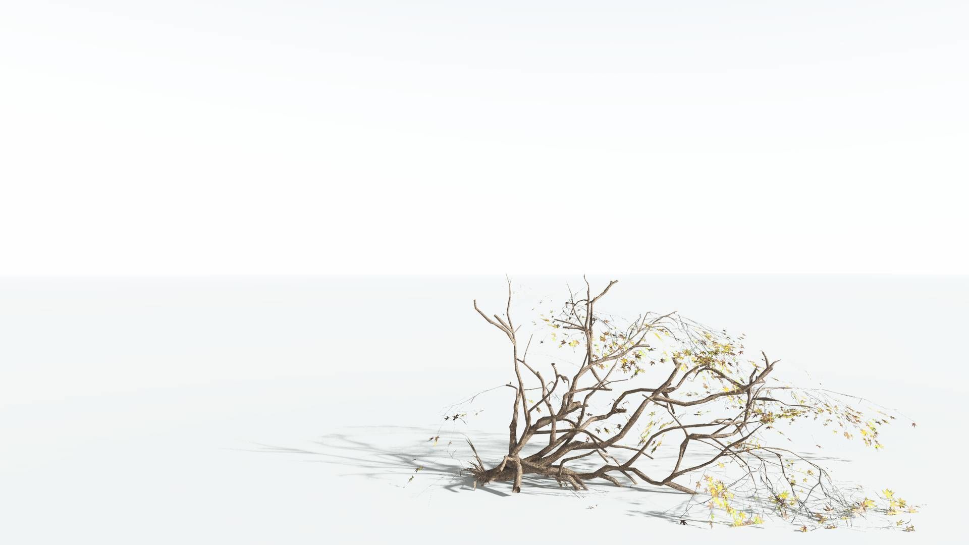 EVERYPlant Japanese Maple LowPoly 1 --18 Models-- Low-poly 3D model_19