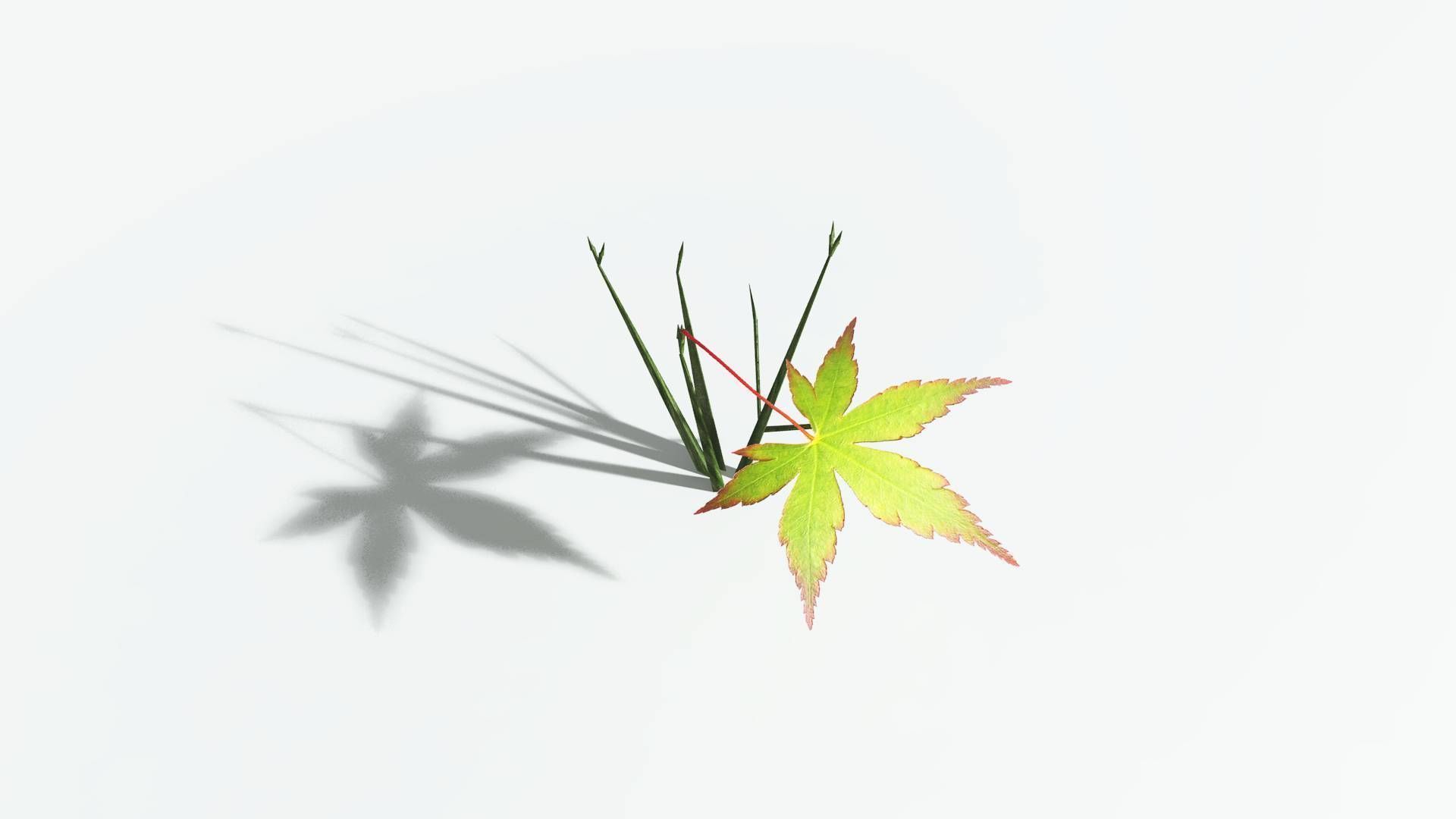 EVERYPlant Japanese Maple LowPoly 1 --18 Models-- Low-poly 3D model_28