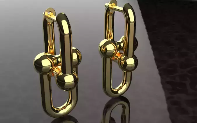 Tiffany Hard Wear Earrings