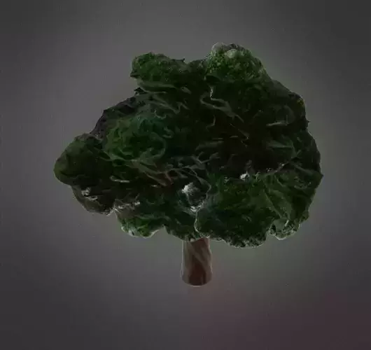 Oak tree 3D print model