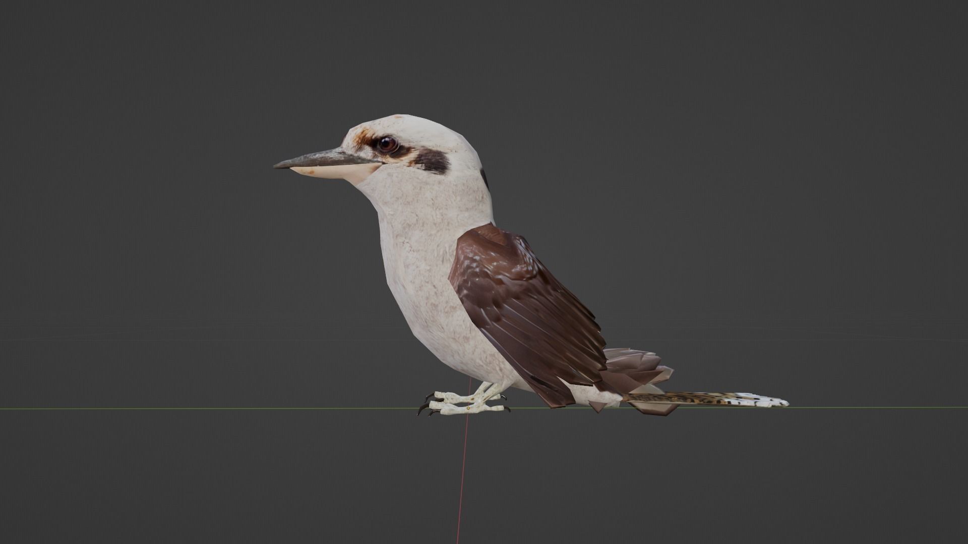 Game Ready Kookaburra with Animations Low-poly 3D model_7