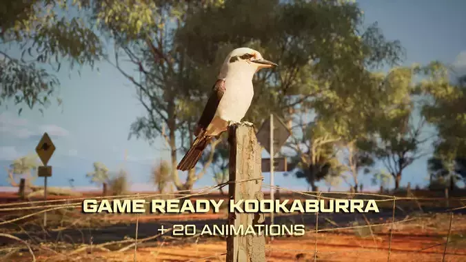 Game Ready Kookaburra with Animations