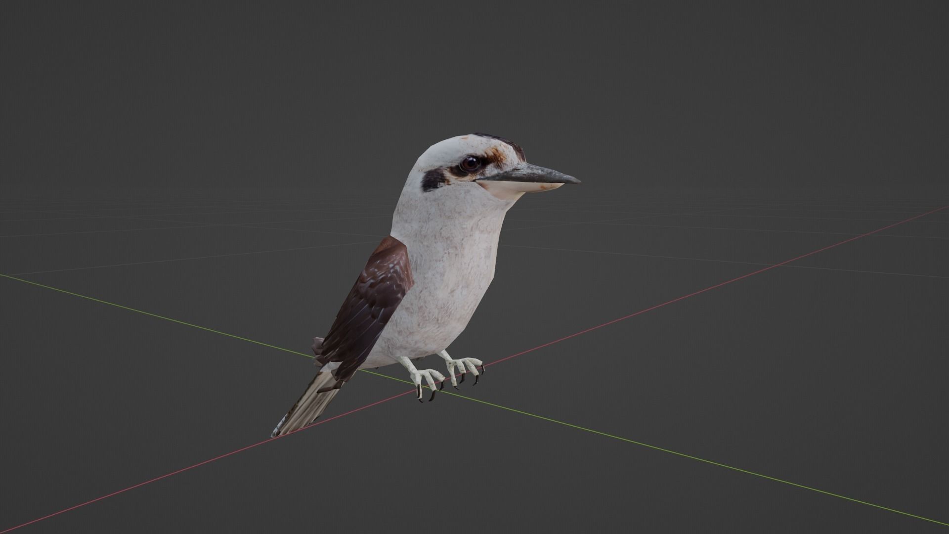 Game Ready Kookaburra with Animations Low-poly 3D model_4
