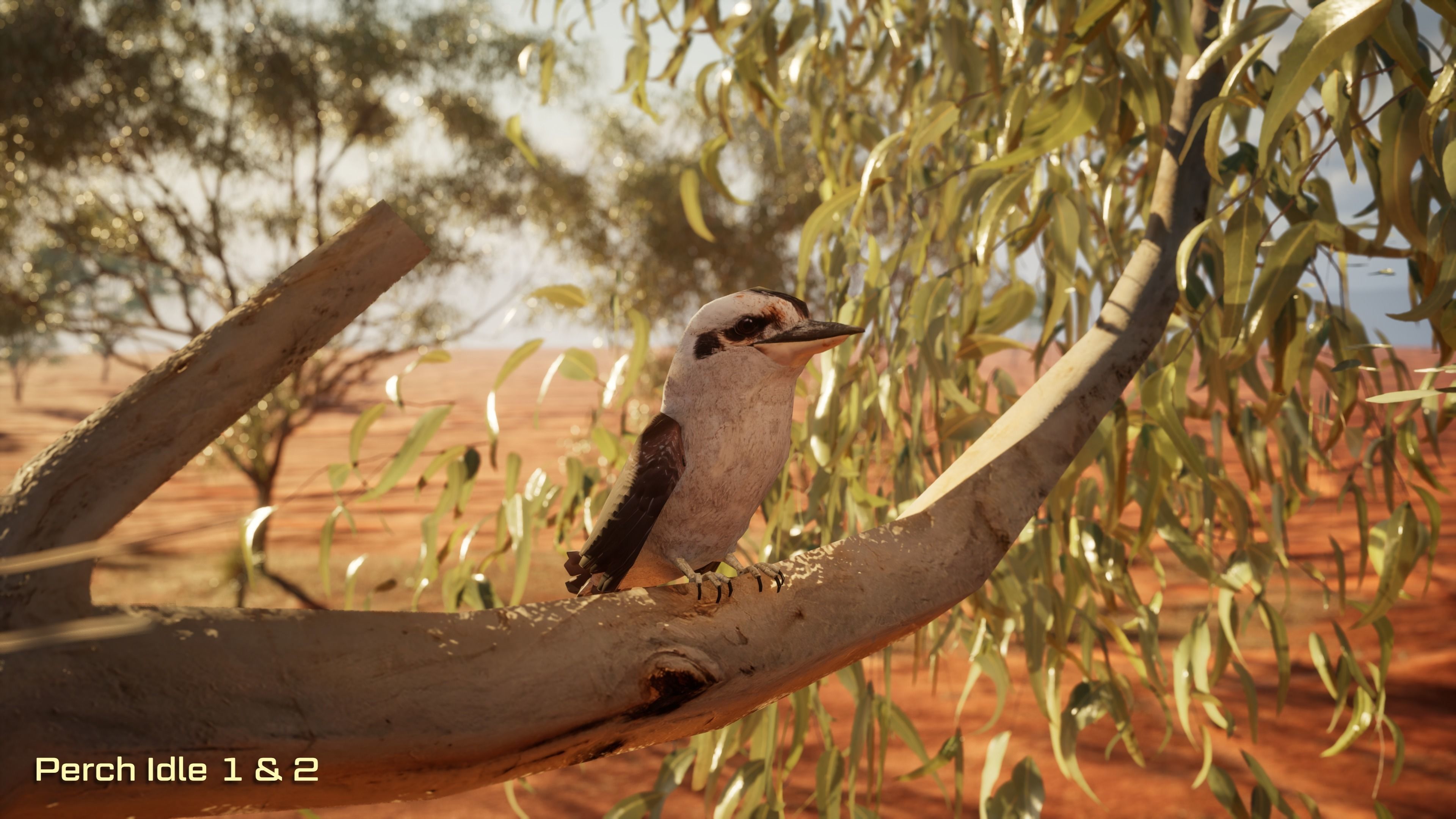 Game Ready Kookaburra with Animations Low-poly 3D model_3
