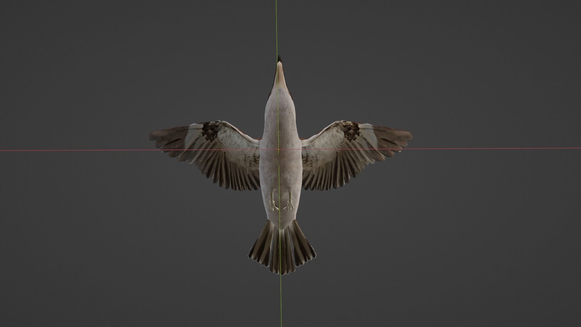 Game Ready Kookaburra with Animations Low-poly 3D model_6