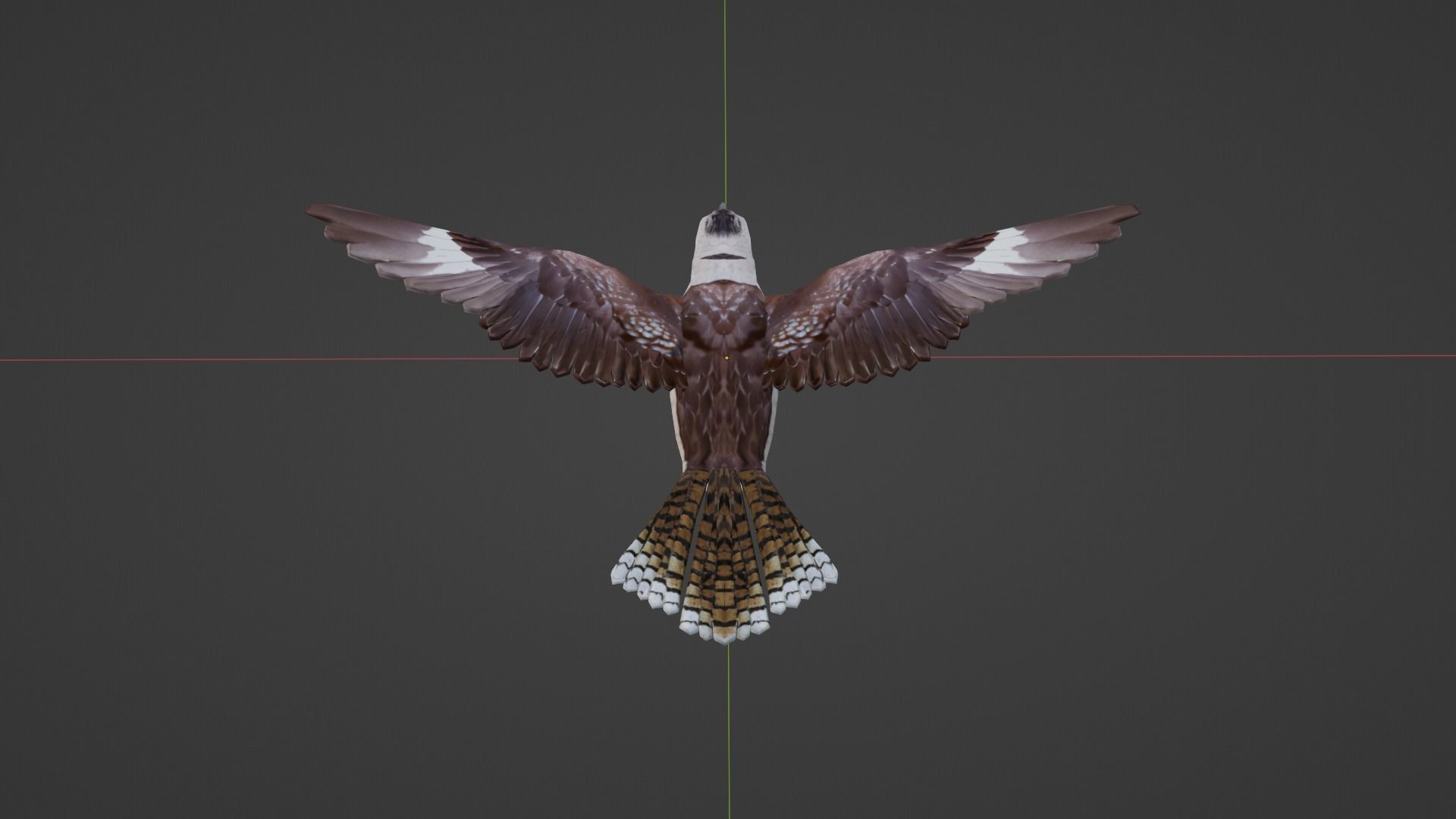 Game Ready Kookaburra with Animations Low-poly 3D model_5