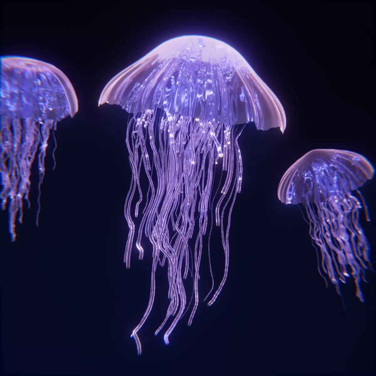 Jellyfish Geometry Nodes 3D model