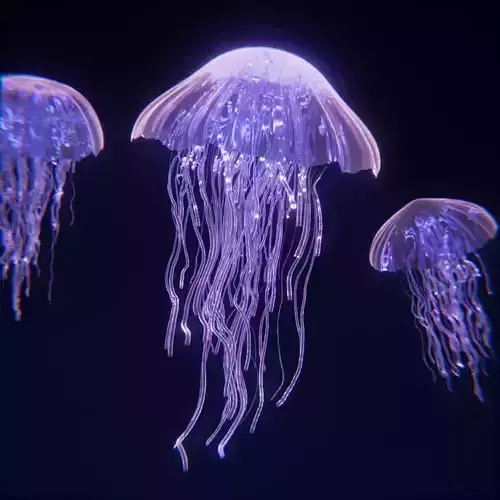 Jellyfish Geometry Nodes