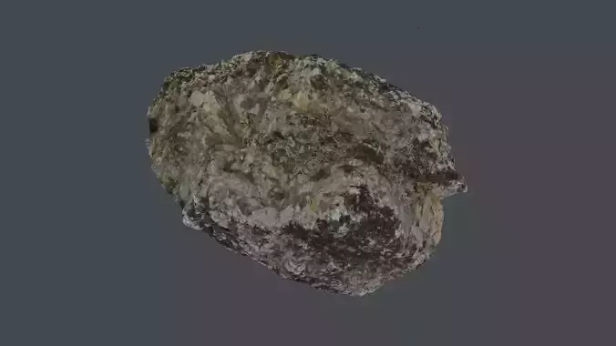 Rock 0038 Photogrammetry