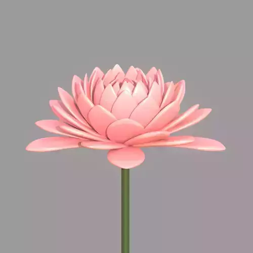 lotus