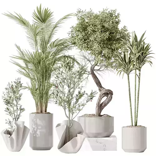 Indoor plant set 33