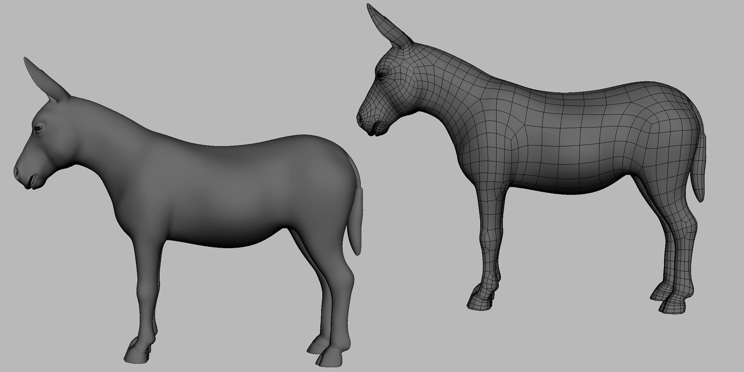 Donkey Basemesh Low-poly 3D model_2
