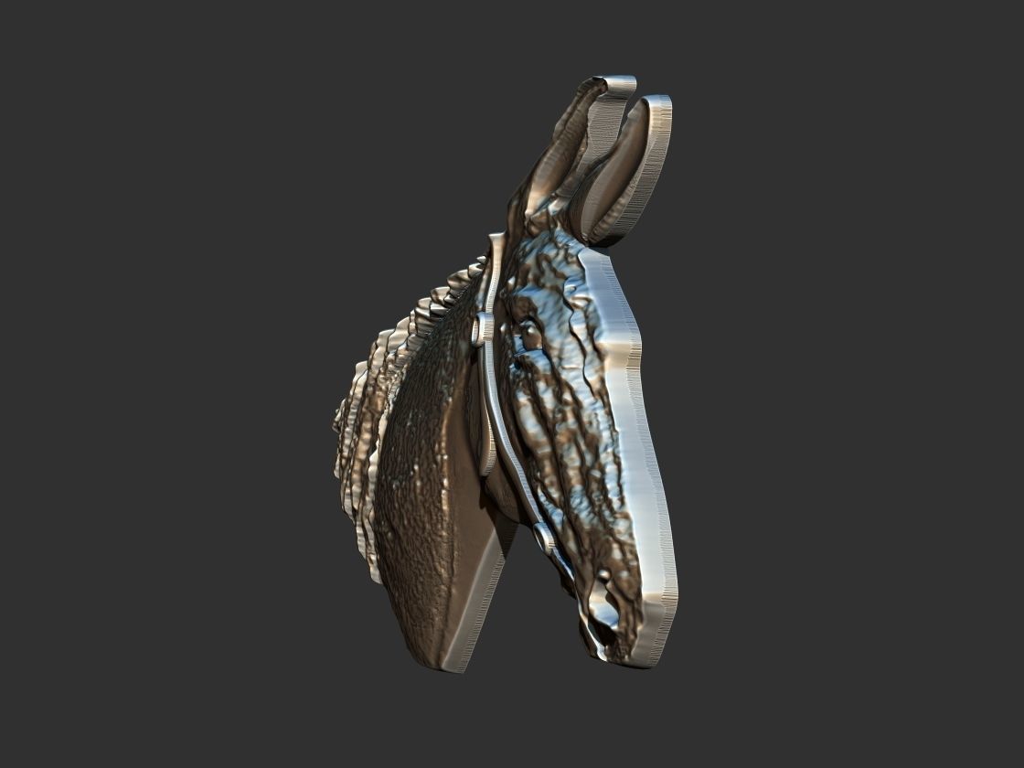 Mule - Mula  3D print model_5