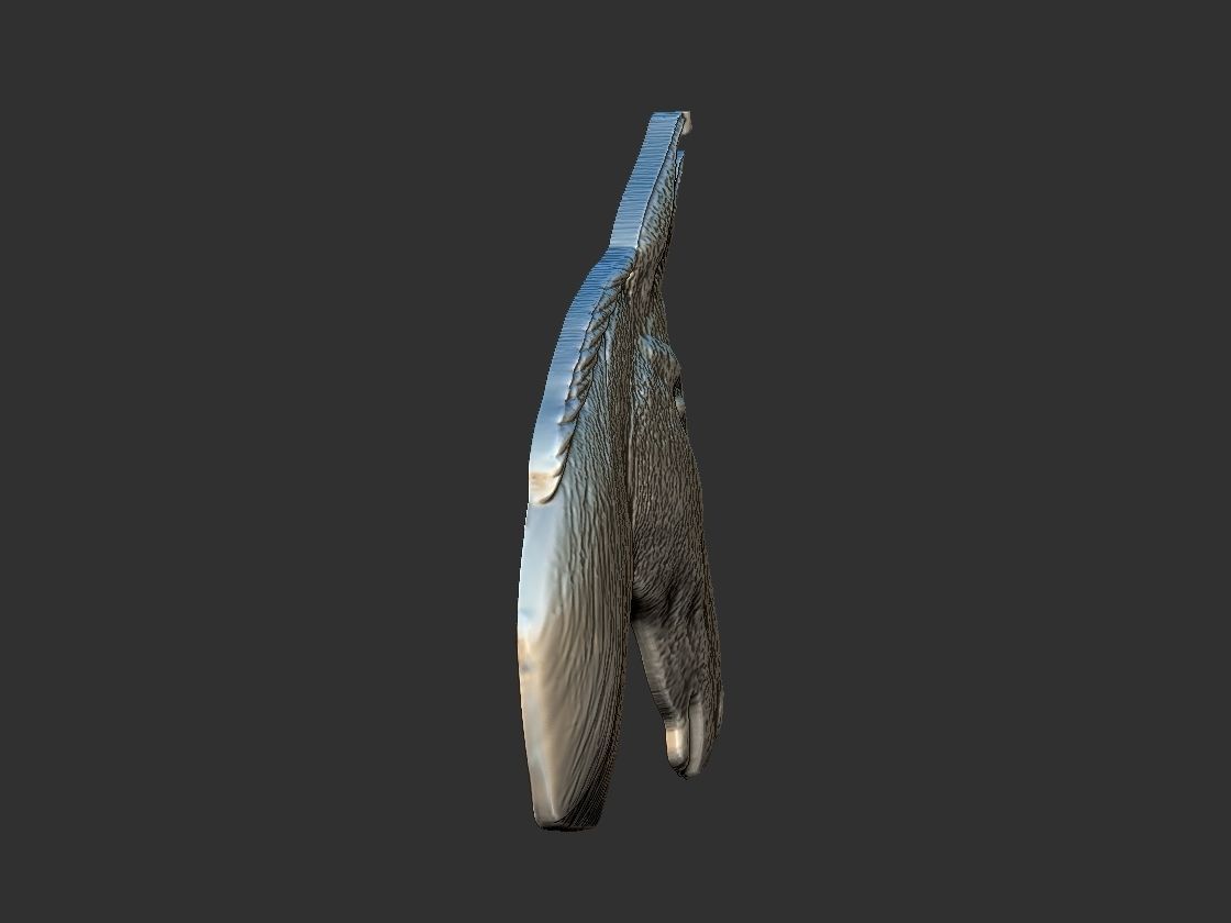 Mule - Mula Relief 3D print model_3