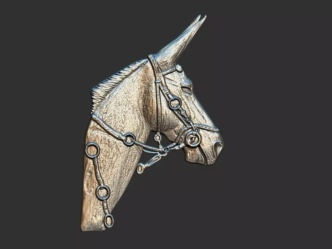 Mule  - Mula Relief 3D print model_0