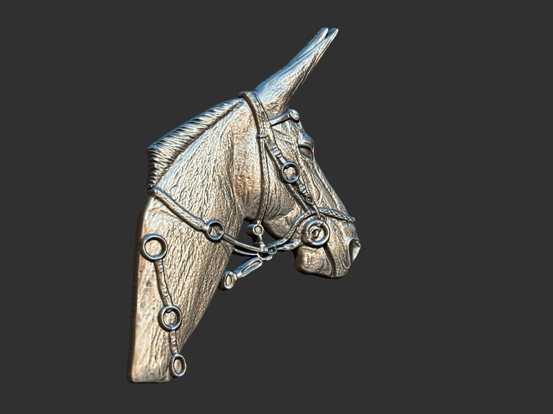 Mule  - Mula Relief 3D print model_1