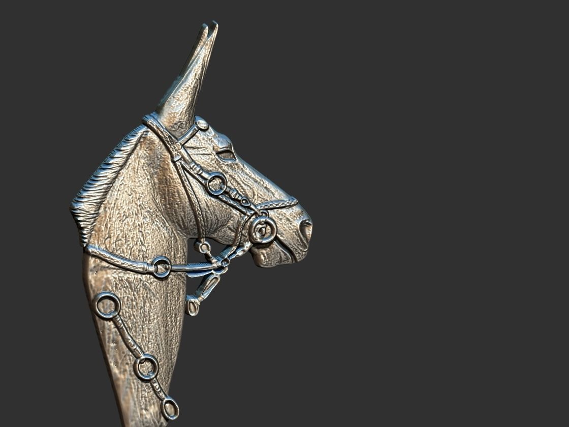 Mule  - Mula Relief 3D print model_9
