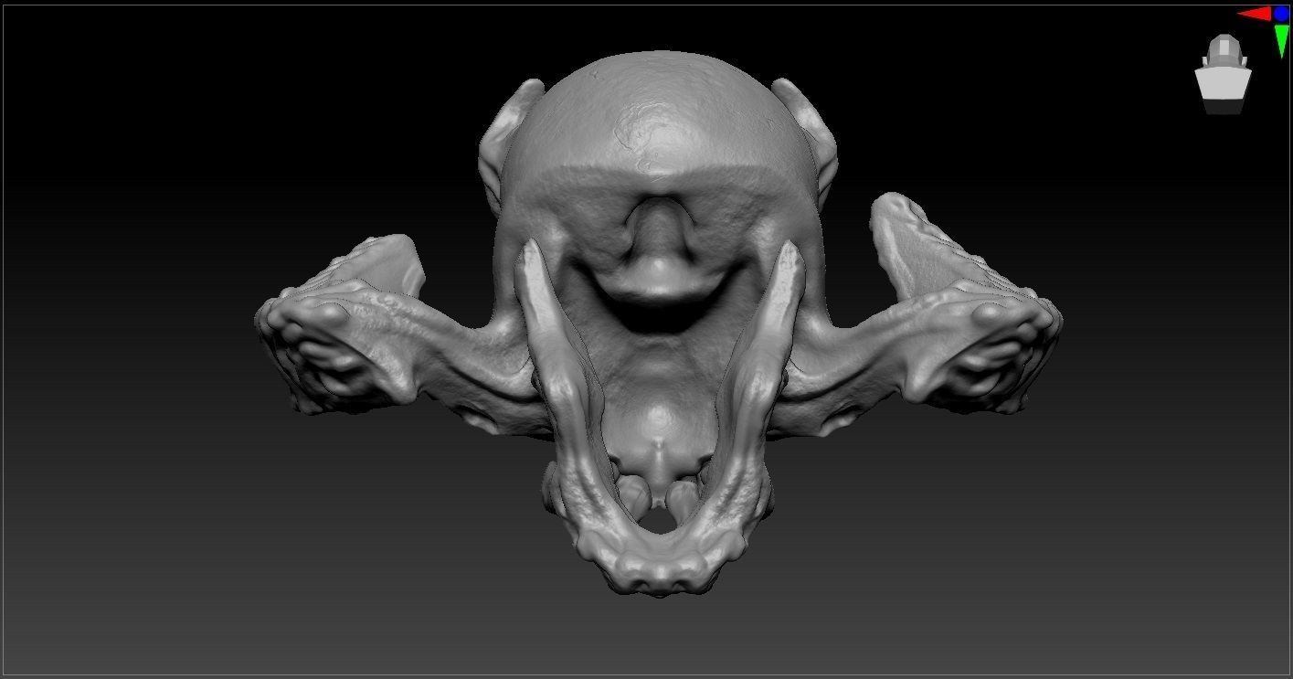 Demon skull 3D model_6